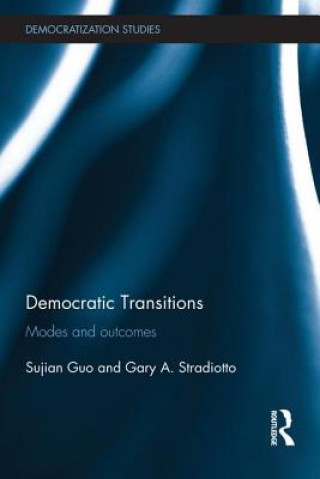 Kniha Democratic Transitions Sujian Guo