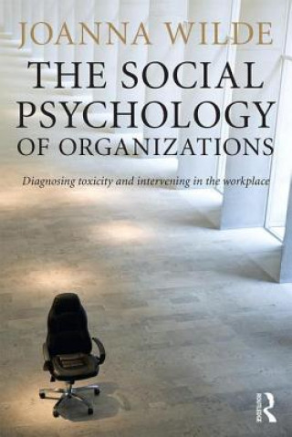 Kniha Social Psychology of Organizations Joanna Wilde