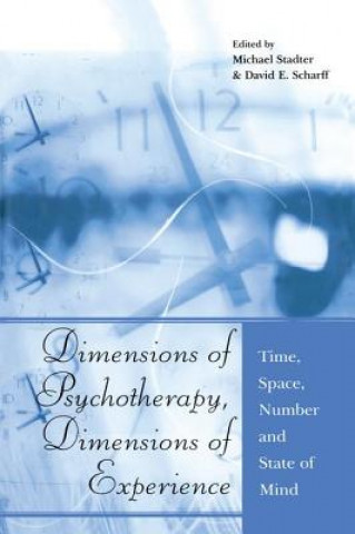 Könyv Dimensions of Psychotherapy, Dimensions of Experience Michael Stadter