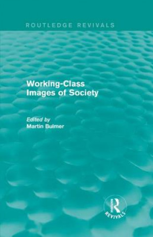 Kniha Working-Class Images of Society (Routledge Revivals) 