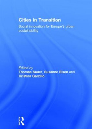 Könyv Cities in Transition 