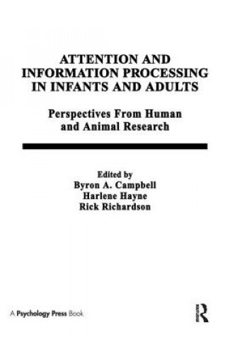 Carte Attention and information Processing in infants and Adults 