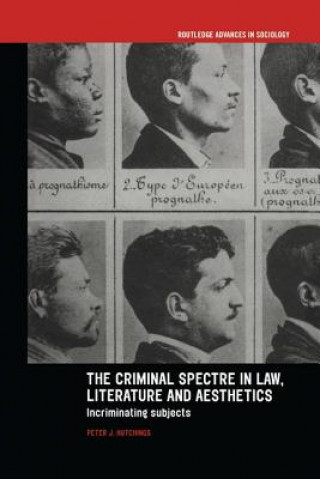 Book Criminal Spectre in Law, Literature and Aesthetics Peter J. Hutchings