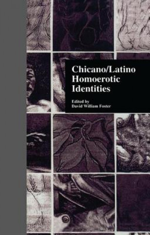 Книга Chicano/Latino Homoerotic Identities FOSTER