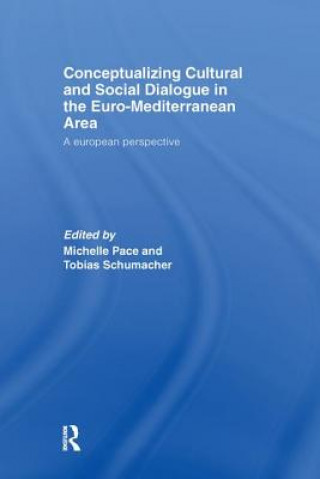 Könyv Conceptualizing Cultural and Social Dialogue in the Euro-Mediterranean Area 