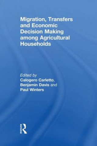 Kniha Migration, Transfers and Economic Decision Making among Agricultural Households Calogero Carletto