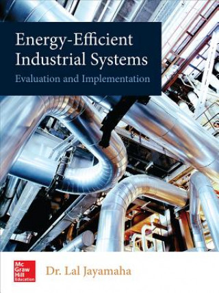 Kniha Energy-Efficient Industrial Systems: Evaluation and Implementation Lal Jayamaha