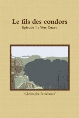 Kniha Fils Des Condors Christophe Ferreboeuf