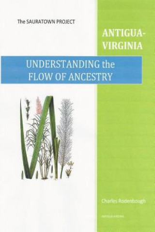 Book Understanding the Flow of Ancestry-Antigua-Virginia Charles D. Rodenbough