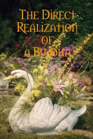 Book Direct Realization of a Buddha Tenzin Gyurme