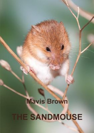 Kniha Sandmouse Mavis Brown