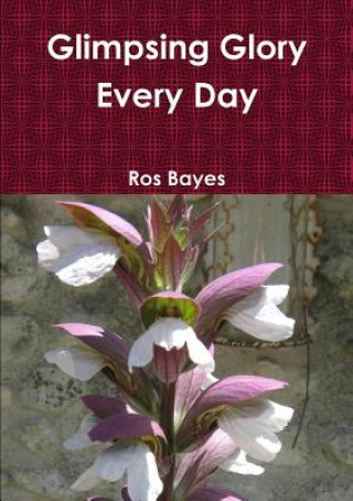 Carte Glimpsing Glory Every Day Ros Bayes