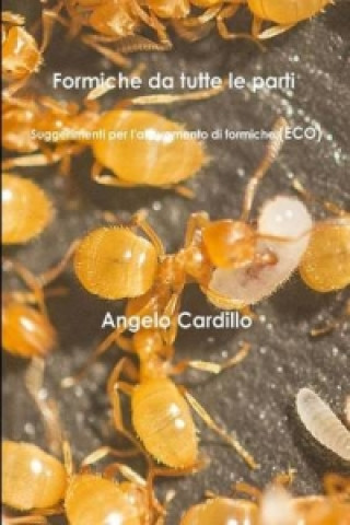 Carte Formiche da tutte le parti - Suggerimenti per l'allevamento di formiche (ECO) Angelo Cardillo