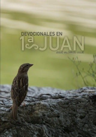 Livre Devocionales en 1 Juan Josue Valcarcel Lillie