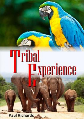 Könyv Tribal Experience Paul Richards