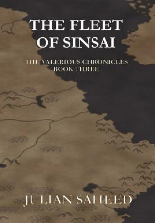 Livre Fleet of Sinsai Julian Saheed