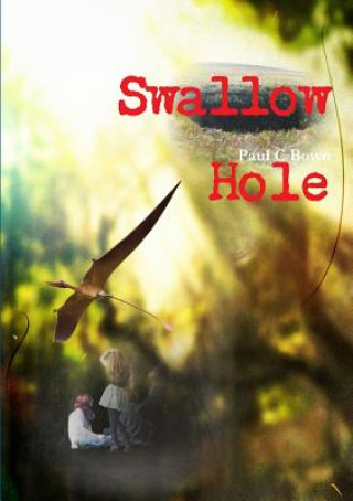 Knjiga Swallow Hole Paul C Bown