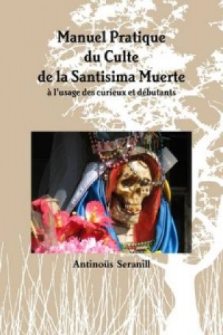 Könyv Manuel Pratique Du Culte De La Santisima Muerte A L'usage Des Curieux Et Debutants Antinous Seranill