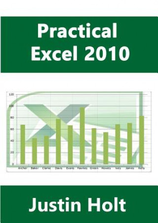 Könyv Practical Excel 2010 Justin Holt