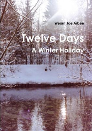 Könyv Twelve Days - A Winter Holiday Wearn Joe Arbee
