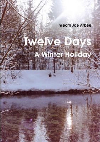 Book Twelve Days - A Winter Holiday Wearn Joe Arbee