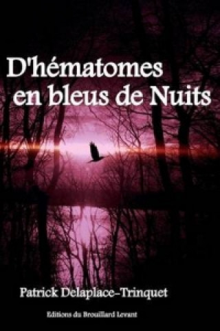 Kniha D'hematomes En Bleus De Nuits Patrick Delaplace-Trinquet