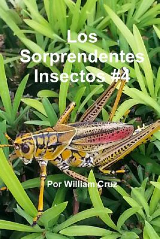 Könyv Sorprendentes Insectos #4 William Cruz