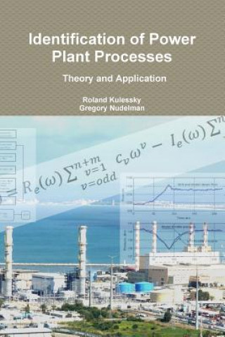 Książka Identification of Power Plant Processes - Theory and Application Roland Kulessky