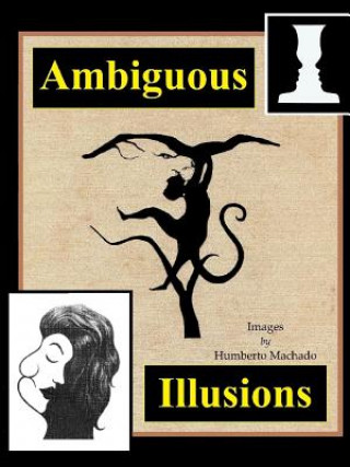 Carte Ambiguous Illusions Humberto Machado