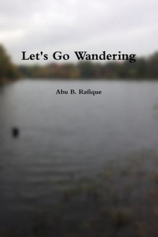 Buch Let's Go Wandering Abu B. Rafique