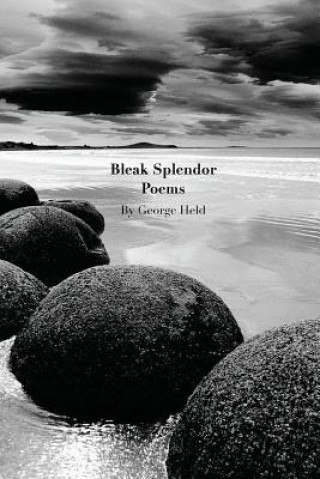 Kniha Bleak Splendor Grorge Held