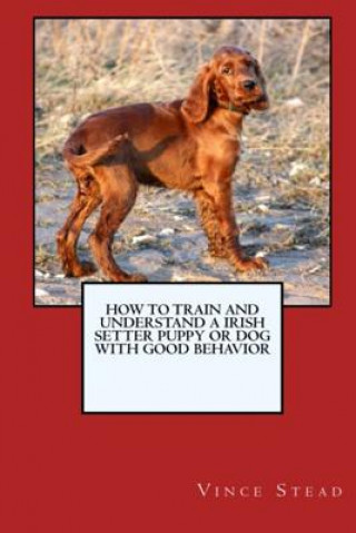 Carte How to Train and Raise a Irish Setter Puppy or Dog with Good Behavior Vince Stead