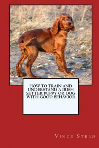 Buch How to Train and Raise a Irish Setter Puppy or Dog with Good Behavior Vince Stead