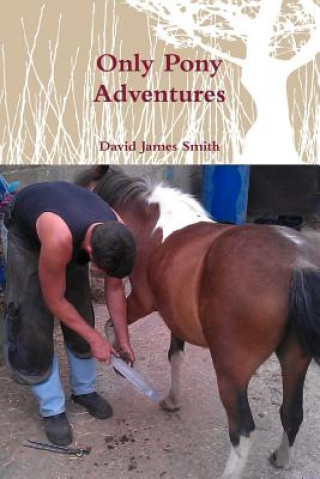 Könyv Only Pony Adventures David James Smith