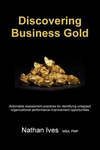 Kniha Discovering Business Gold Nathan Ives