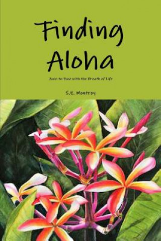 Книга Finding Aloha S.E. Montroy