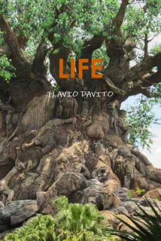 Carte Life Flavio Davito