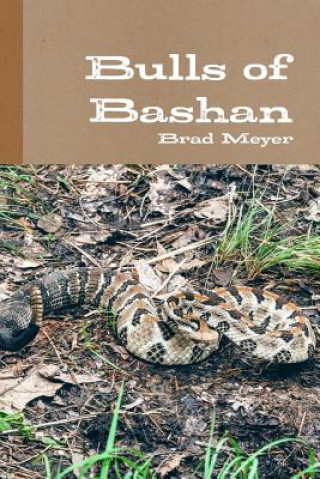 Könyv Bulls of Bashan Brad Meyer