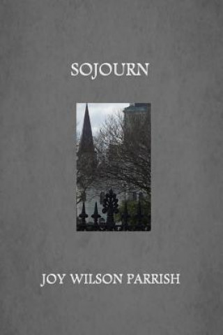 Knjiga Sojourn JOY WILSON PARRISH