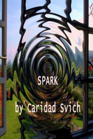 Könyv Spark Caridad Svich