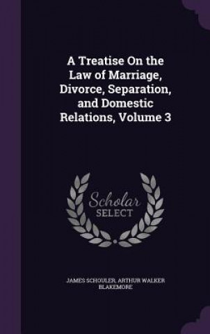 Książka Treatise on the Law of Marriage, Divorce, Separation, and Domestic Relations, Volume 3 James Schouler