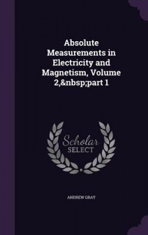 Kniha Absolute Measurements in Electricity and Magnetism, Volume 2, Part 1 Gray