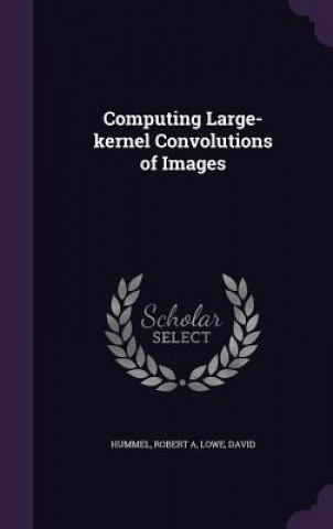 Kniha Computing Large-Kernel Convolutions of Images Robert a Hummel