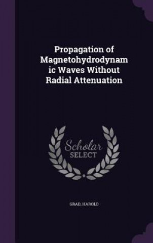 Könyv Propagation of Magnetohydrodynamic Waves Without Radial Attenuation Harold Grad