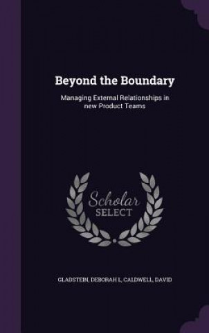 Book Beyond the Boundary Deborah L Gladstein