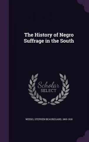 Carte History of Negro Suffrage in the South Stephen Beauregard Weeks