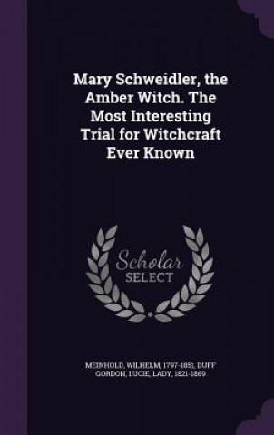 Libro Mary Schweidler, the Amber Witch. the Most Interesting Trial for Witchcraft Ever Known Wilhelm Meinhold