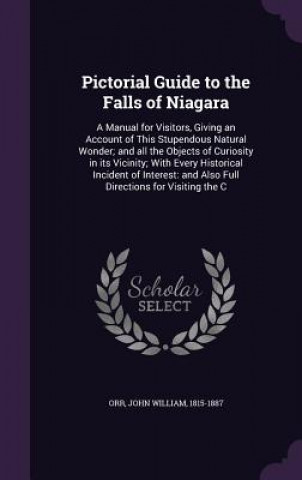 Carte Pictorial Guide to the Falls of Niagara John William Orr