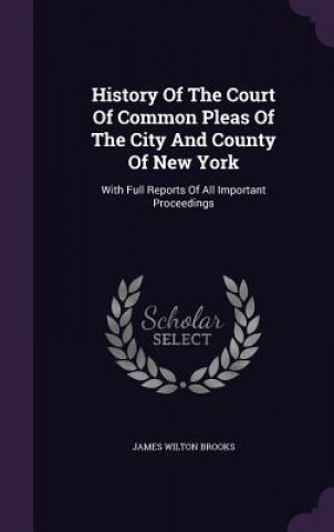 Kniha History of the Court of Common Pleas of the City and County of New York James Wilton Brooks