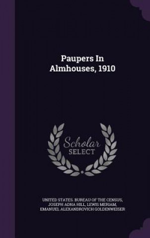 Kniha Paupers in Almhouses, 1910 Lewis Meriam